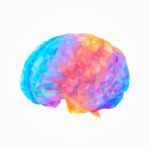 Curso capacitação On-line Neurociência e a complexidade cerebral